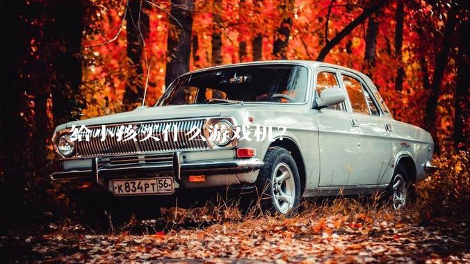 给小孩买什么游戏机？