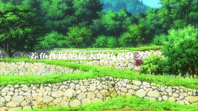 养鱼你踩的最大的坑是什么？