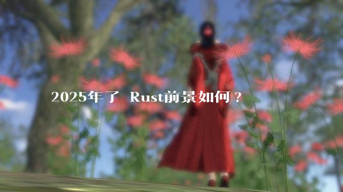 2025年了 Rust前景如何?
