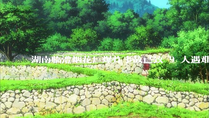 湖南临澧烟花厂爆炸事故已致 9 人遇难 26 人受伤，事故原因可能是什么？厂方要承担哪些法律责任？