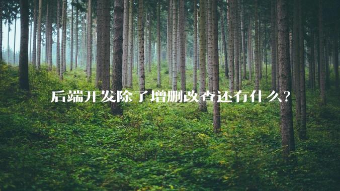 后端开发除了增删改查还有什么？