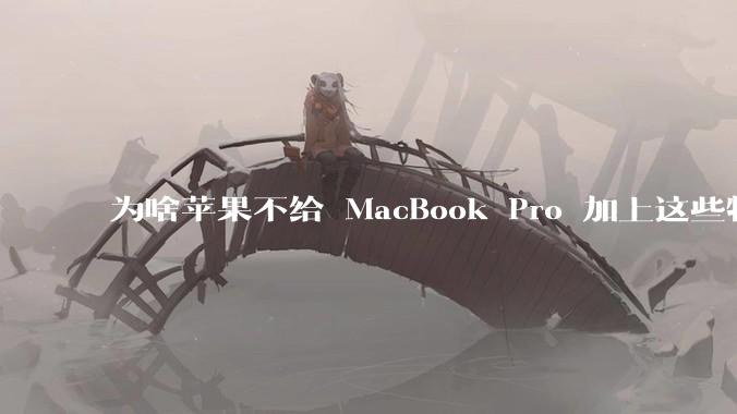 为啥苹果不给 MacBook Pro 加上这些特性？