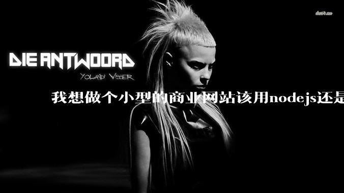 我想做个小型的商业网站该用nodejs还是python做后端？