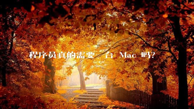 程序员真的需要一台 Mac 吗？