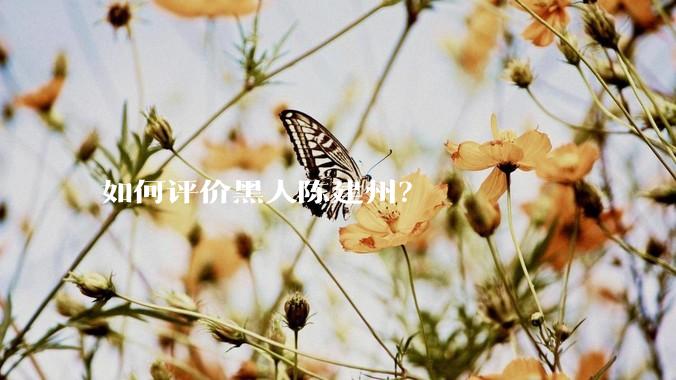 如何评价黑人陈建州？
