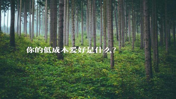 你的低成本爱好是什么？