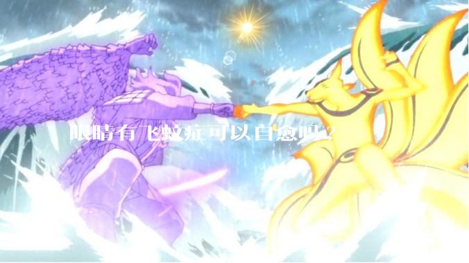 眼睛有飞蚊症可以自愈吗?