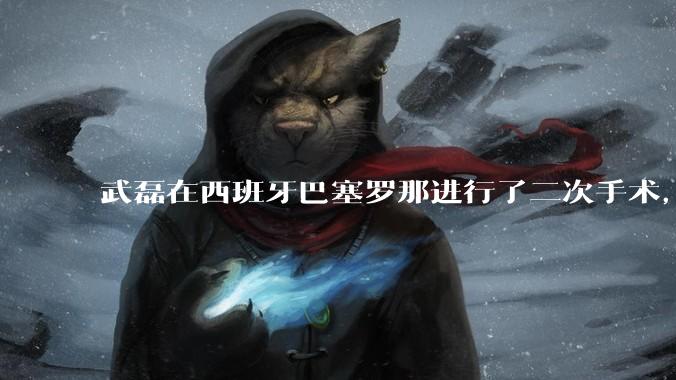 武磊在西班牙巴塞罗那进行了二次手术，是因为华山医院运动医学科技术不行吗？