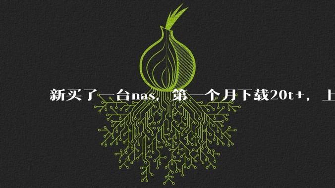 新买了一台nas，第一个月下载20t+，上传5+，不会被网警盯上吧?