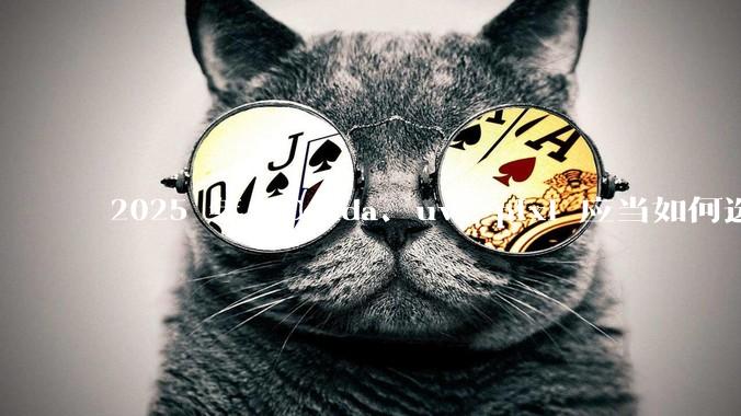 2025 年，Conda、uv、pixi 应当如何选择？