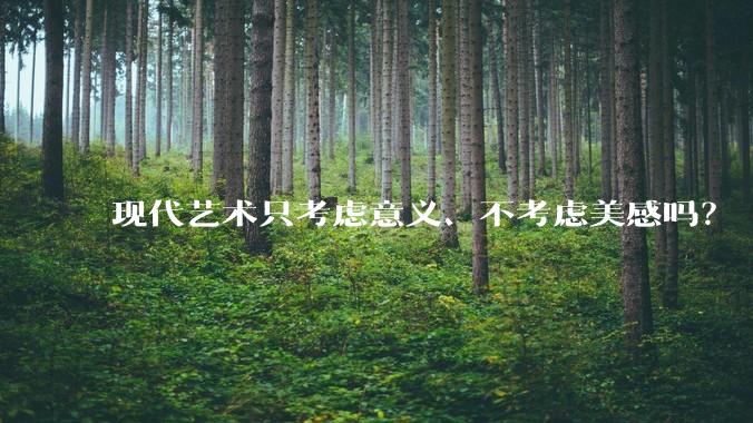 现代艺术只考虑意义、不考虑美感吗？